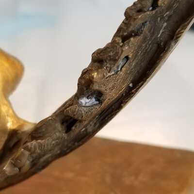 Close up of damage: Heavy corrosion encrustation