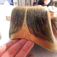          Japanese Mask picture number 38
