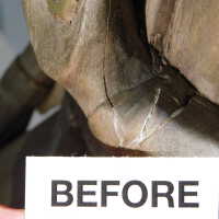          Thai Goddess picture number 54
