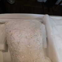          Wedding Dress picture number 33
