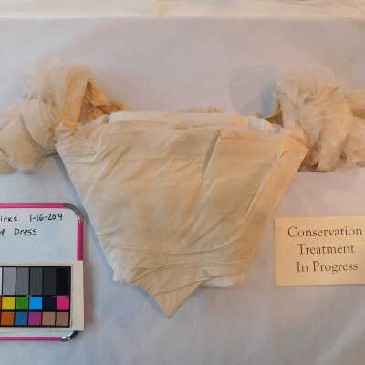 Bodice with Cloud Sleeves