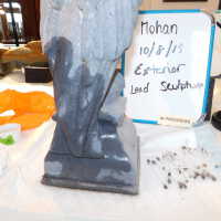          Lead Eagle (facing left) picture number 30
