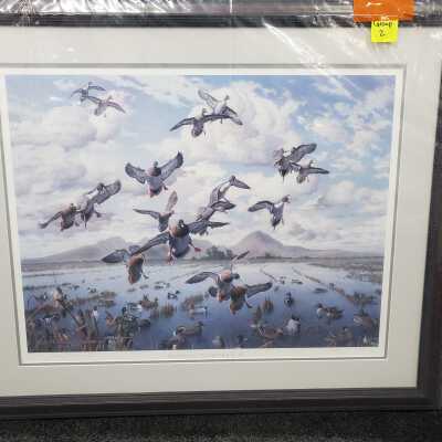 Flock of ducks