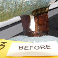          Chair 3 picture number 47

