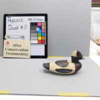 Wooden Duck