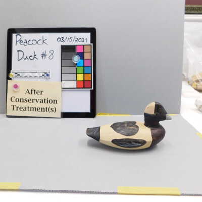 Wooden Duck