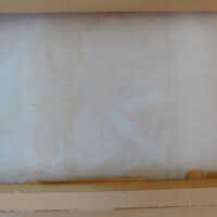          Japanese Screen picture number 136
