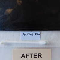 “The Optimist” - Image 113