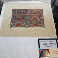          Epirus Bedskirt or Canopy Embroidery Panels picture number 5
