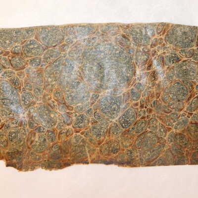 Before treatment: Loose fly leaf with broken edge (front side)