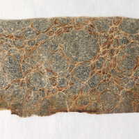          Before treatment; Loose fly leaf with broken edge (front side)
