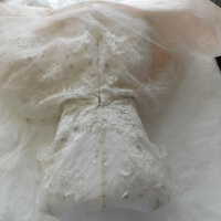          Wedding Dress picture number 23
