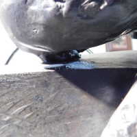          Crouching Man picture number 33
