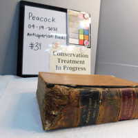          Rare Books 24-65 picture number 31
