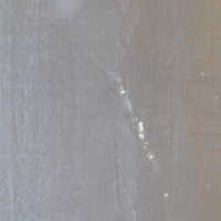          Bard Painting picture number 51
