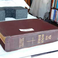          Family Bible picture number 279
