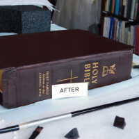         Family Bible picture number 280
