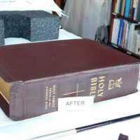          Family Bible picture number 281

