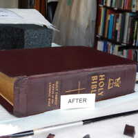          Family Bible picture number 282
