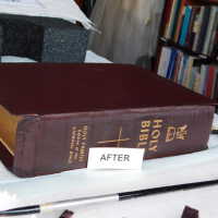          Family Bible picture number 283
