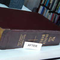          Family Bible picture number 284
