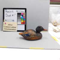          Wooden Duck picture number 5
