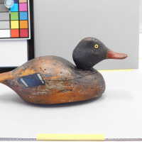          Wooden Duck picture number 6

