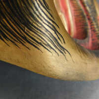          Japanese Mask picture number 61
