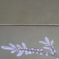          Japanese Screen picture number 314
