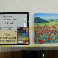          Field of flowers picture number 6
