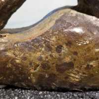          Close up of patina and corrosion; Mottled patina and patches of corrosion and scratches on surface
