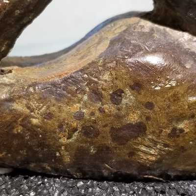 Close up of patina and corrosion: Mottled patina and patches of corrosion and scratches on surface