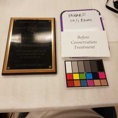 Writers guild award