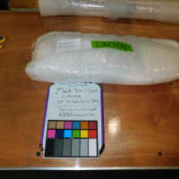          Textile and Tribal Arts Show Rehousing Project picture number 81
