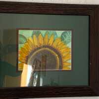          Sunflower detail picture number 1
