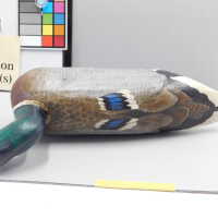          Wooden Duck picture number 4
