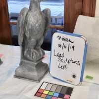          Lead Eagle (facing left) picture number 37
