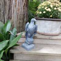          Lead Eagle (facing left) picture number 38
