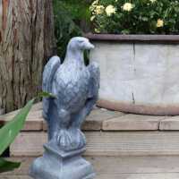          Lead Eagle (facing left) picture number 39

