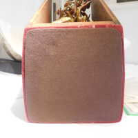          Tree in Box/Plant with red leaves picture number 37
