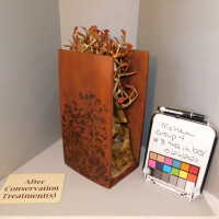          Tree in Box/Plant with red leaves picture number 41
