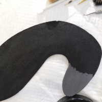          Black cat picture number 12
