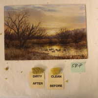          Winter on the water picture number 12
