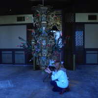          Golden Room picture number 188
