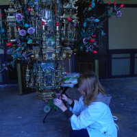          Golden Room picture number 195
