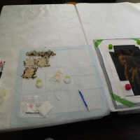 “The Optimist” - Image 92