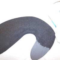          Black cat picture number 14

