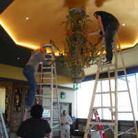          Golden Room picture number 343
