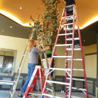          Golden Room picture number 344
