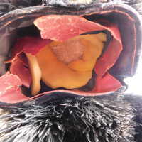          Royal Scots Hat picture number 4

